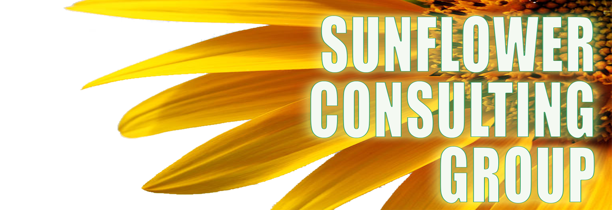 Sunflower Consulting Group